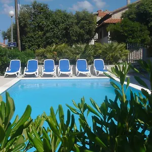 Laurus I Kožino